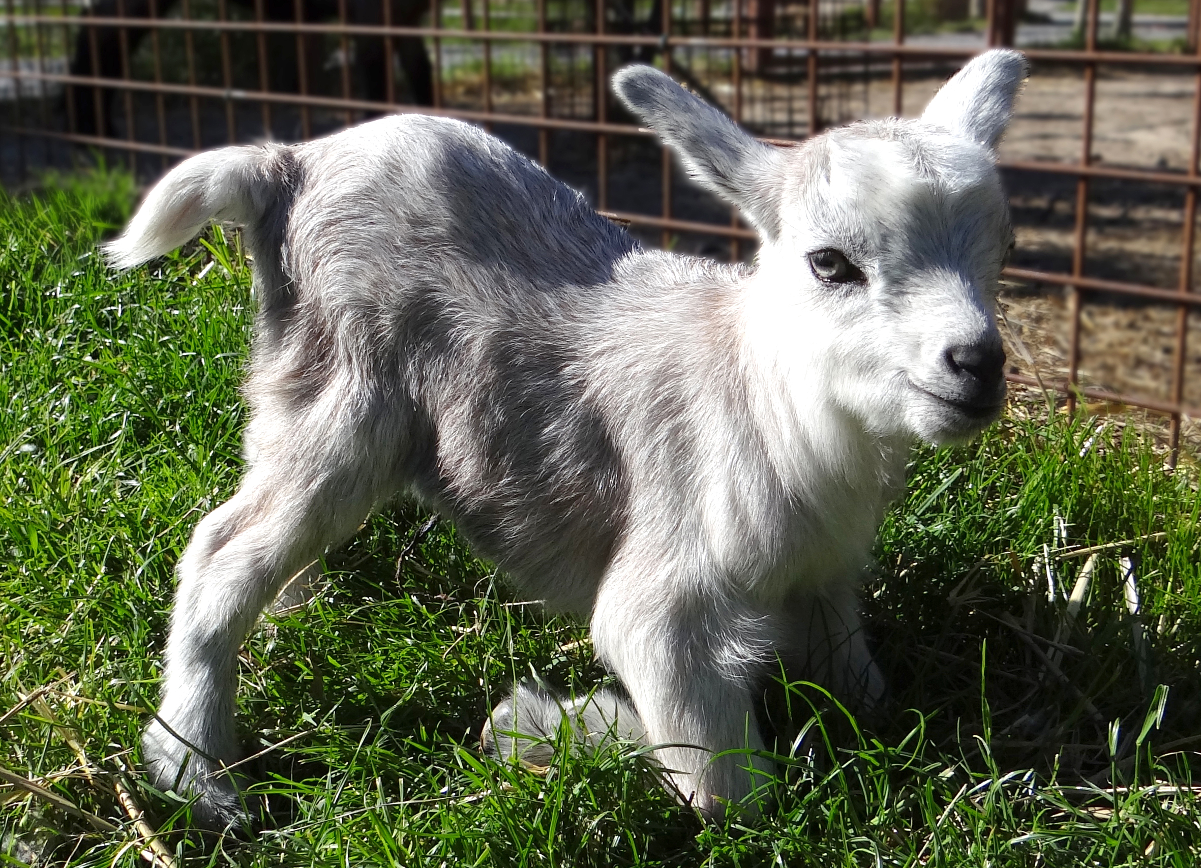 Lussas Wildlife Park