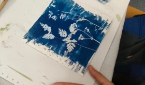 Les ateliers d'été du Moulinage de Chirols - cyanotype_Chirols