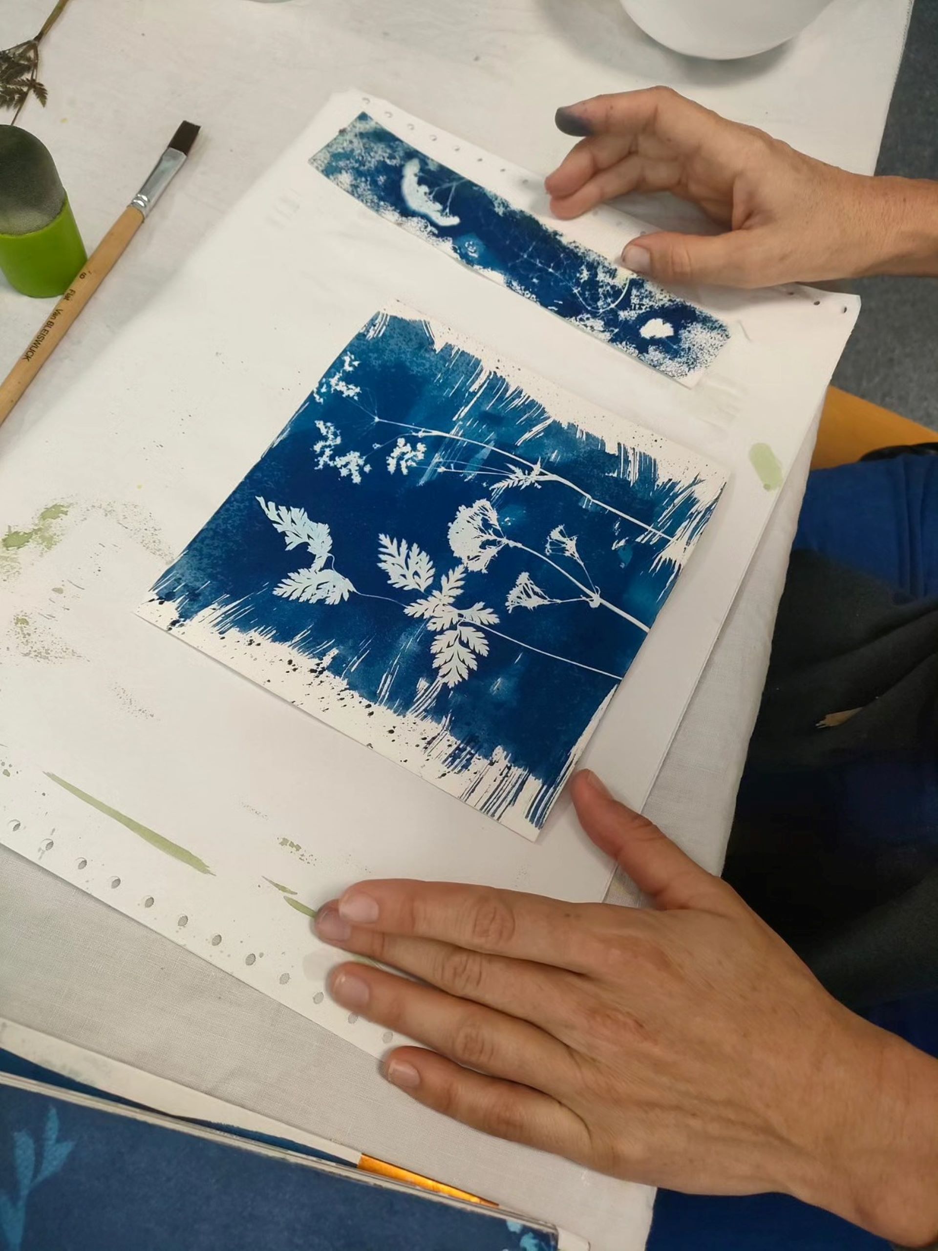 Les ateliers d'été du Moulinage de Chirols - cyanotype_Chirols