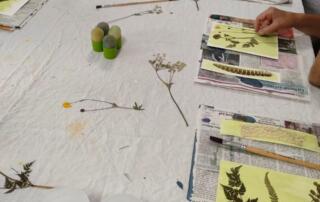 Chirols - Atelier Cyanotype avec Cécile - préparation des végétaux - ©c.garnier-abou