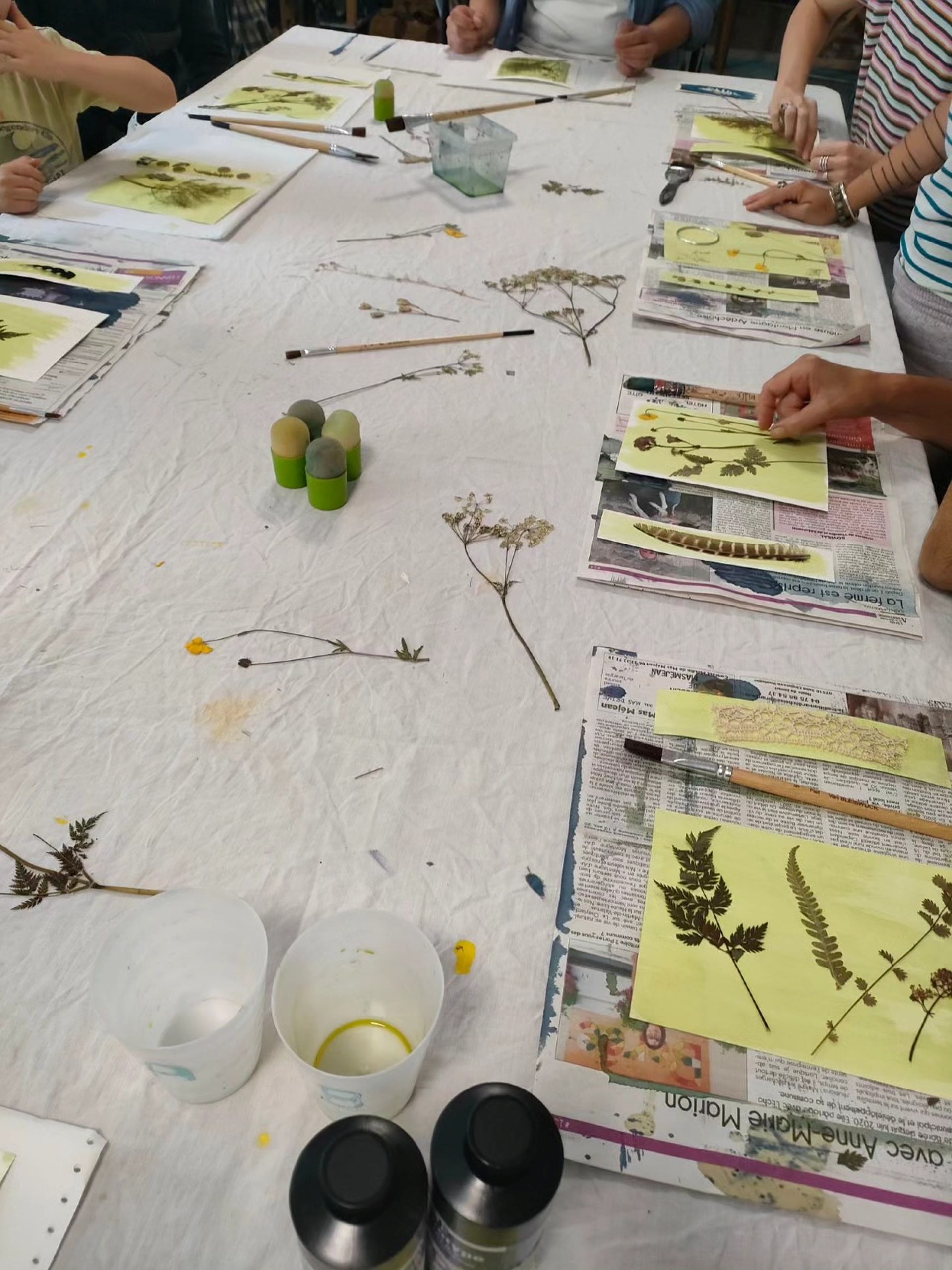 Les ateliers d'été du Moulinage de Chirols - cyanotype_Chirols