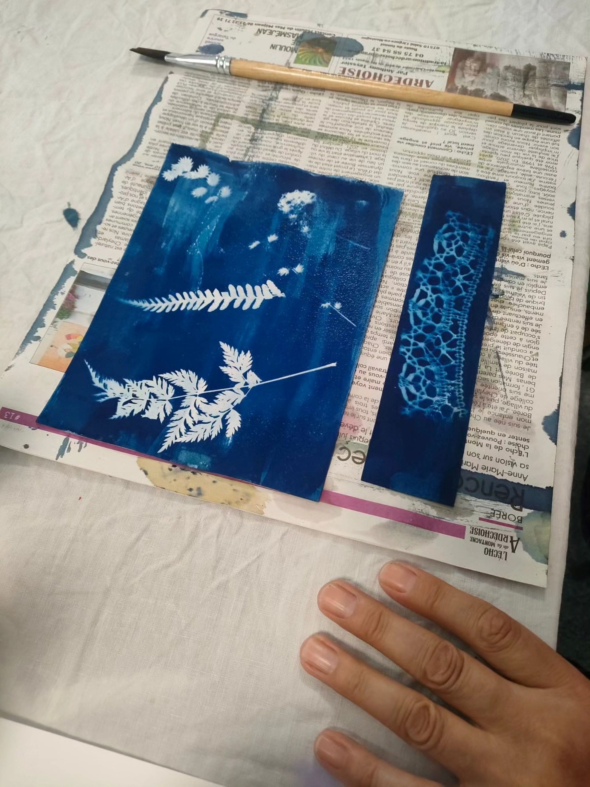 Les ateliers d'été du Moulinage de Chirols - cyanotype_Chirols