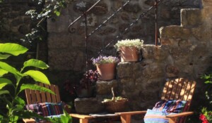 Jardin commun de la demeure des maitres - Chambre d'hôtes à Chirols en Ardèche