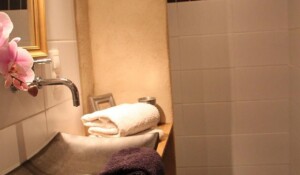 Salle de bain de la chambre graine de lin dans la demeure des maitres - Chambre d'hôtes à Chirols en Ardèche