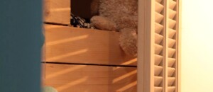 La demeure des maîtres - Master suite_Chirols