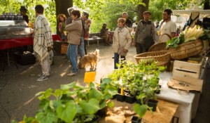 Chirols producers market_Chirols