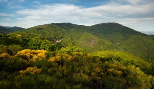 Chirols - Montagne Sainte Marguerite © S.Bugnon