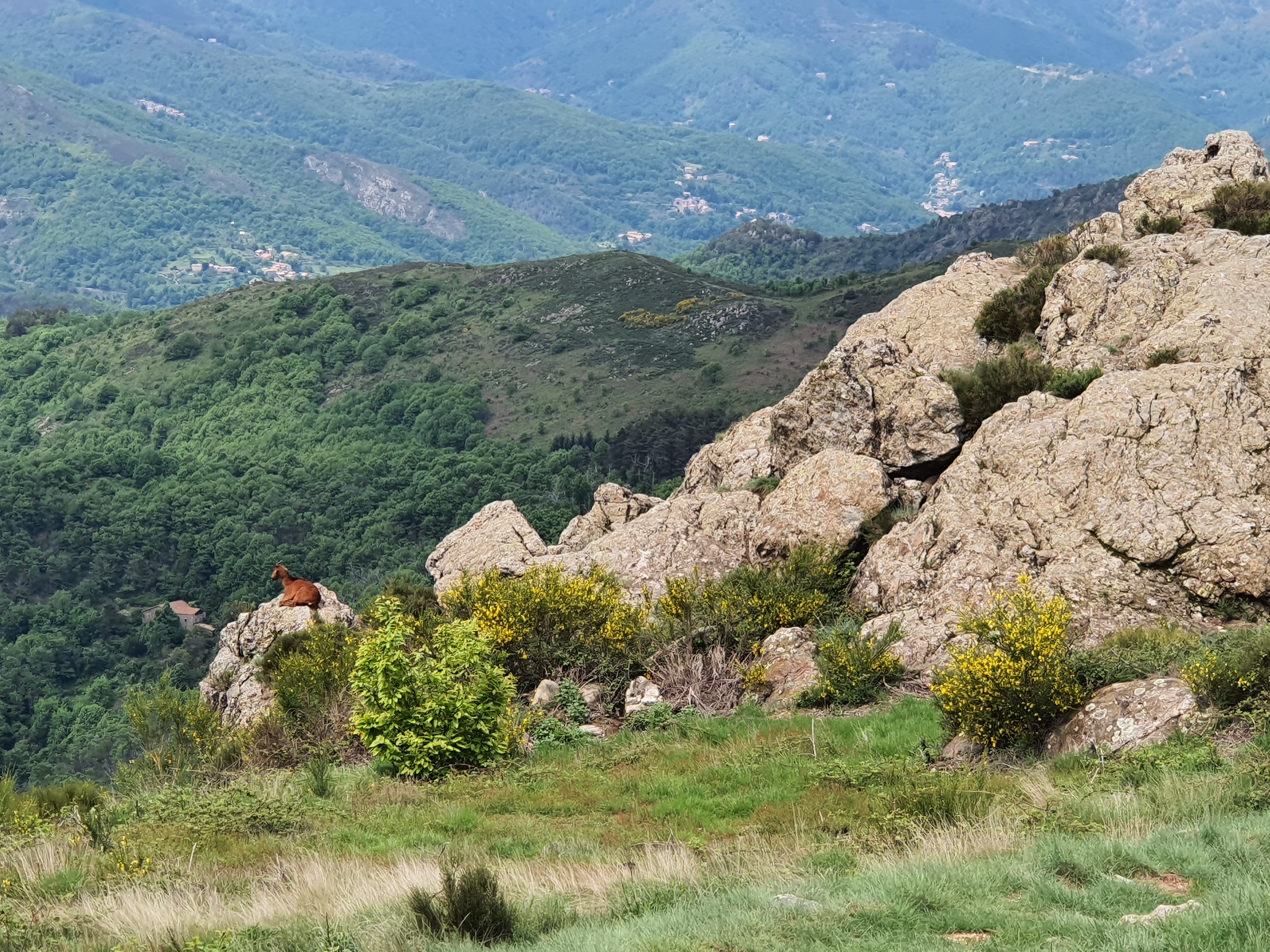 Chirols - Sainte Marguerite