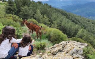 Chirols - Sainte Marguerite - © M.Barkats