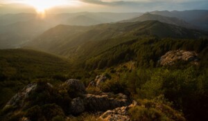 Aus der Sicht von Saint Marguerite