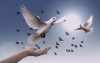 Cérémonie du 8 Mai_Lalevade-d’Ardèche - ©pixabay