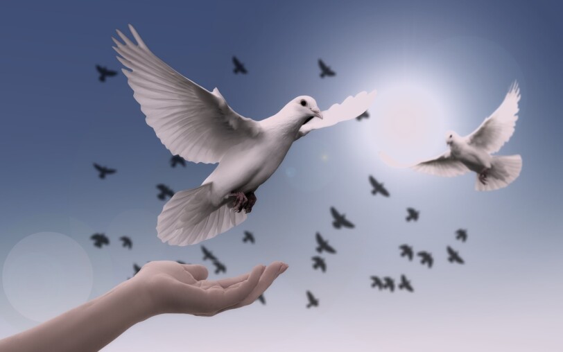 Cérémonie du 8 Mai