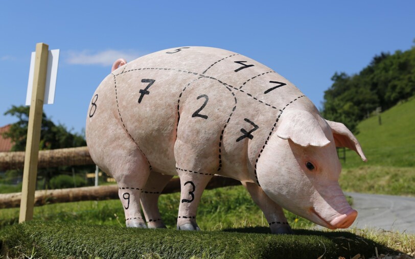 Cochon découpe, cochonaille en ardèche