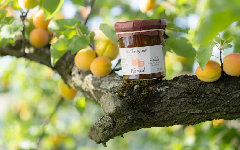 Confiture abricots sur branche la Chareyrade à la Souche