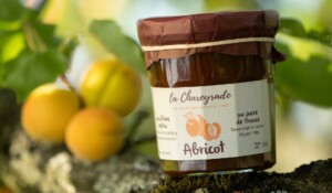 Confiture d'abricot