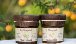 La Chareyrade_La Souche