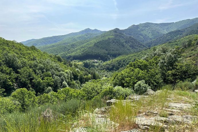 content-barnas-balade-au-sentier-botanique-sourcesetvolcans