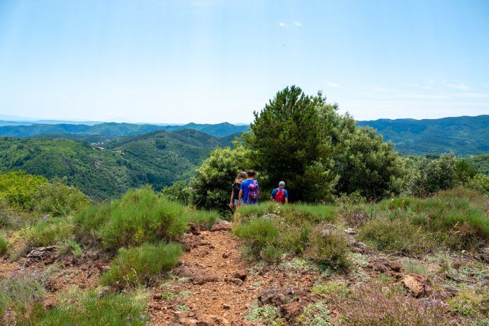 content-meyras-panorama-vegetation-volcan-souilhol-sourcesetvolcans