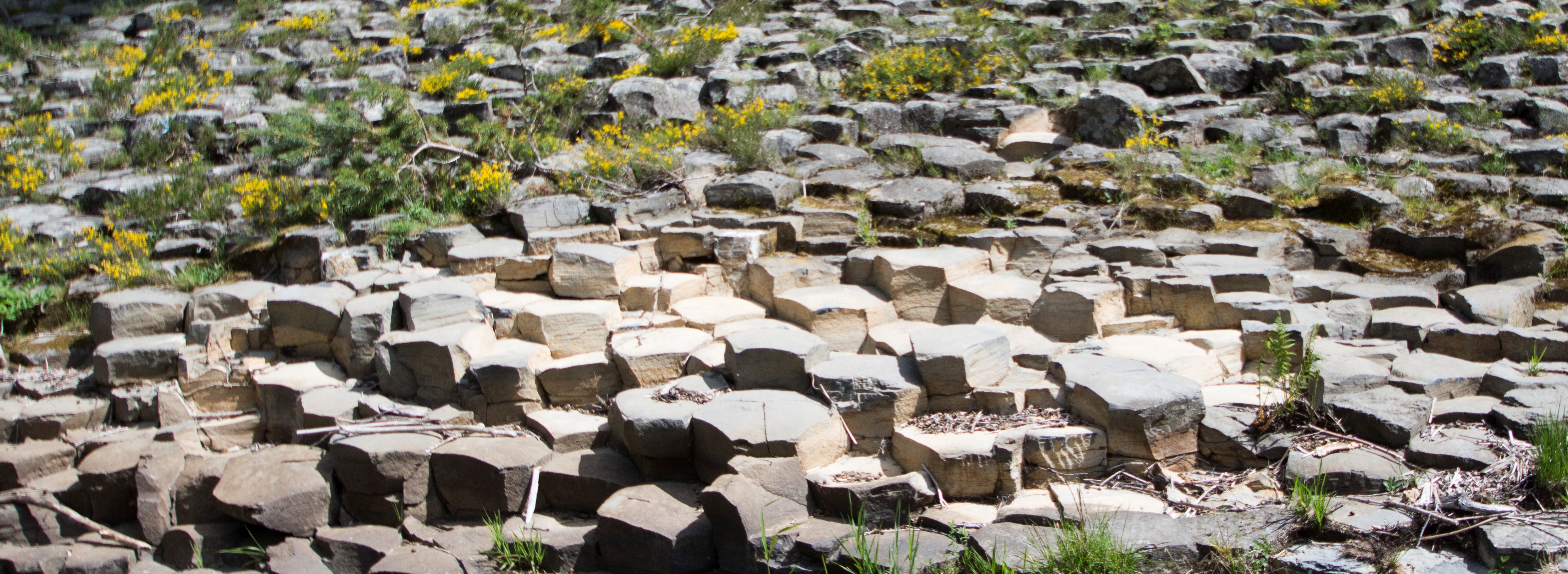 Les coulées basaltiques de la Veyradeyre