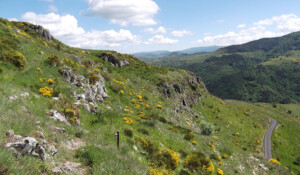 Les coulées basaltiques