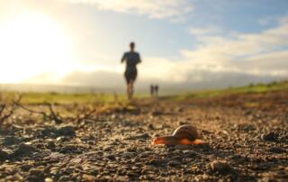 Course, trail, nature ©pixabay.com - ©cc0pixabay.com