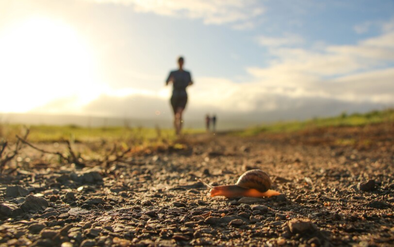 Course, trail, nature ©pixabay.com