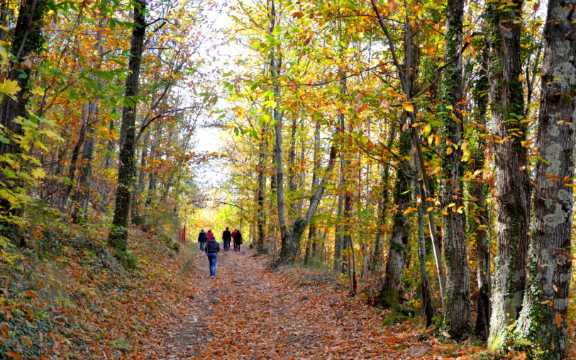 Sentier de la coulée vive