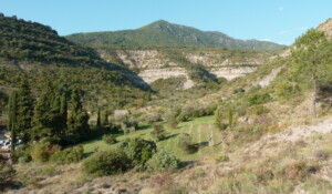 Naves : a village with oustanding character