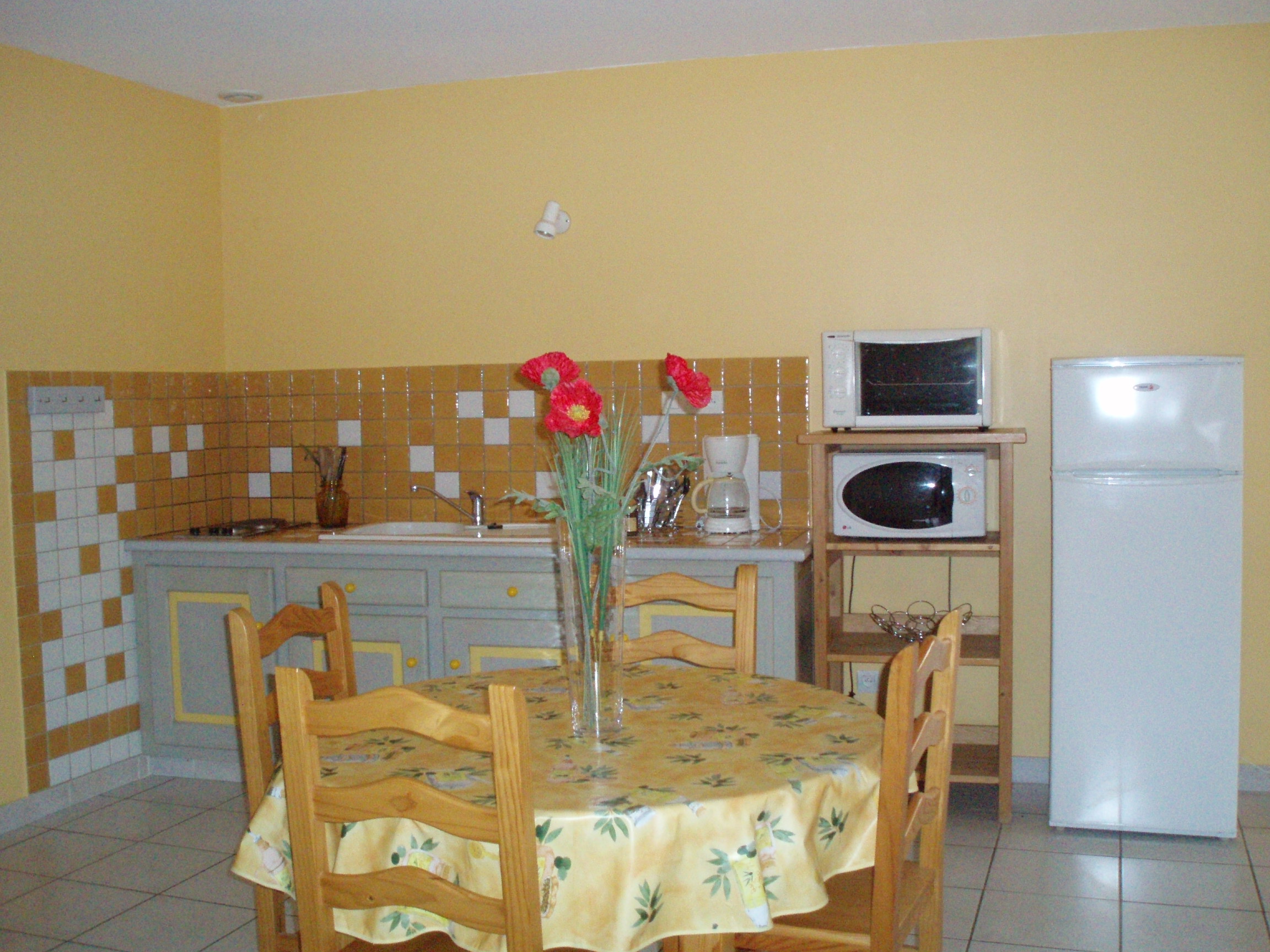 Cuisine du gite Mimosa à Meyras