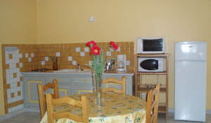 Cuisine du gite Mimosa à Meyras