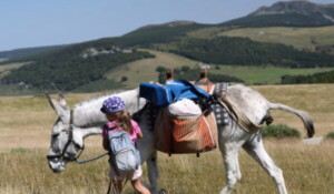 Around Mont Gerbier de Jonc with a donkey_Burzet