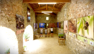 La Ferme des Abeilles