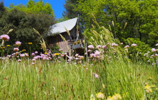 Cabane perchée La Polette - © Maurin Jean-François