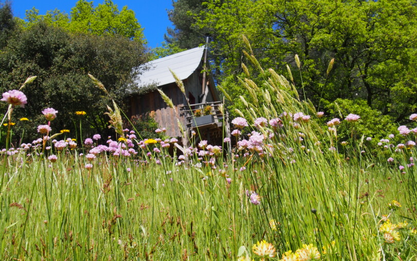 Cabane perchée La Pôlette