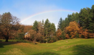 Cabane perchée La Pôlette