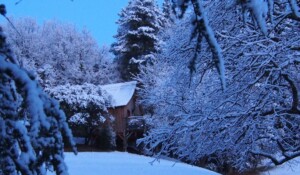 Cabane perchée La Pôlette