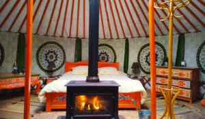 The Yurt