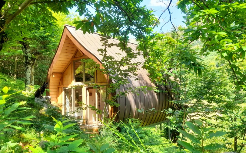 les cabanes du loup bleu