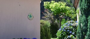 Extérieur - Catalpa - gîtes de Neyrac-les-Bains