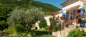Vue sur terrain