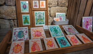 Studio Clearance_Montpezat-sous-Bauzon