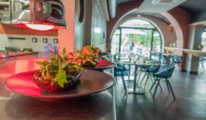 La Terrasse des Thermes_Meyras