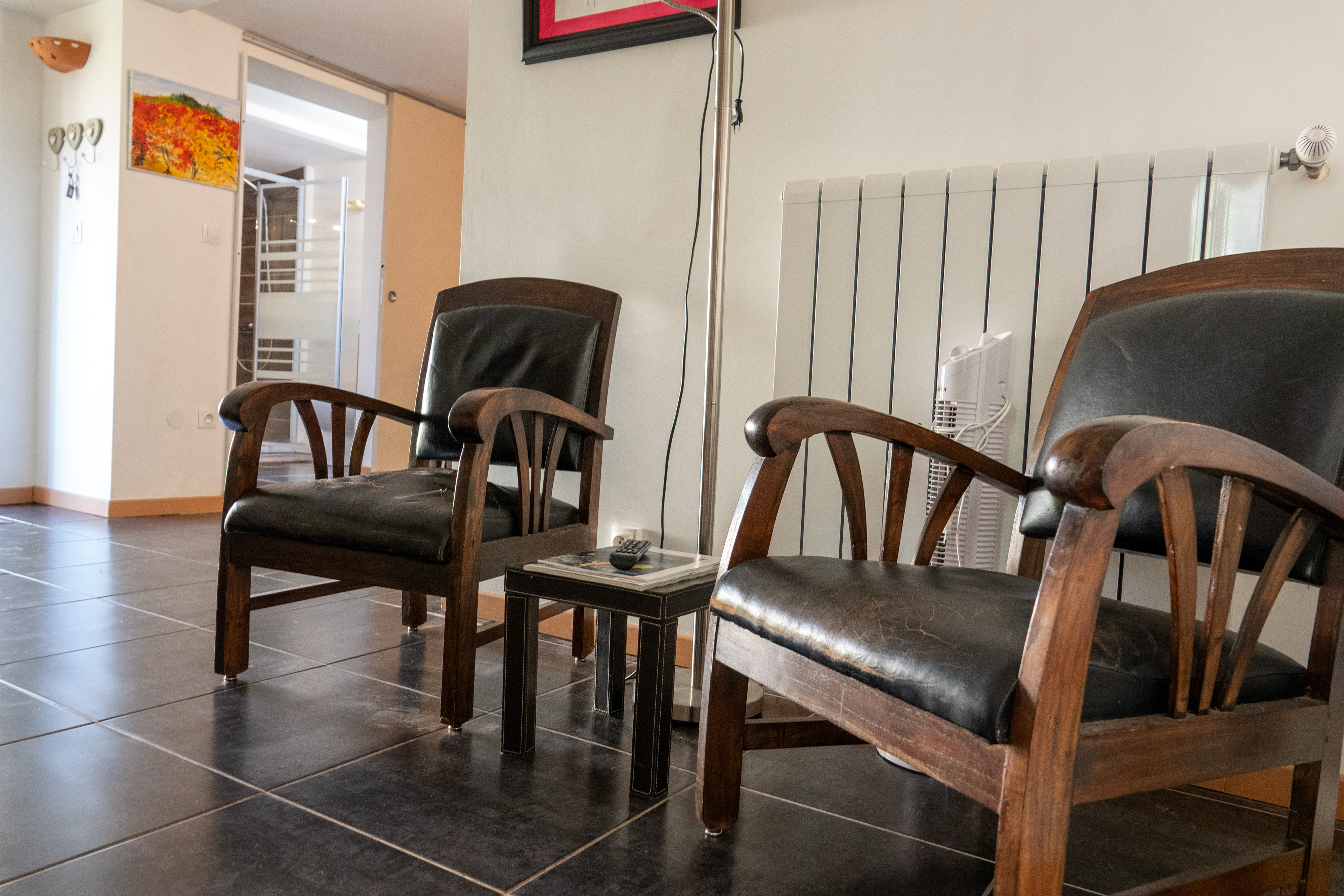 Salon fauteuils noirs