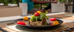 La Terrasse des Thermes_Meyras