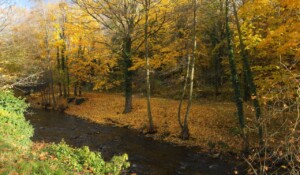 Vallée de la Deûme