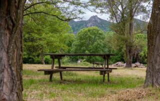 Aire de pique-nique - ©Sources & Volcans