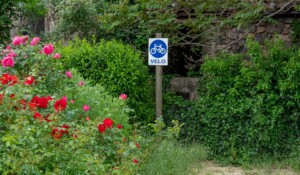 Parking vélo