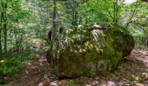 Geological walk at the Souilhol volcano_Meyras