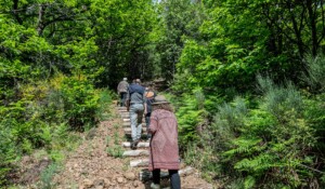 Geological walk at the Souilhol volcano_Meyras