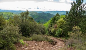 Vue depuis le sentier